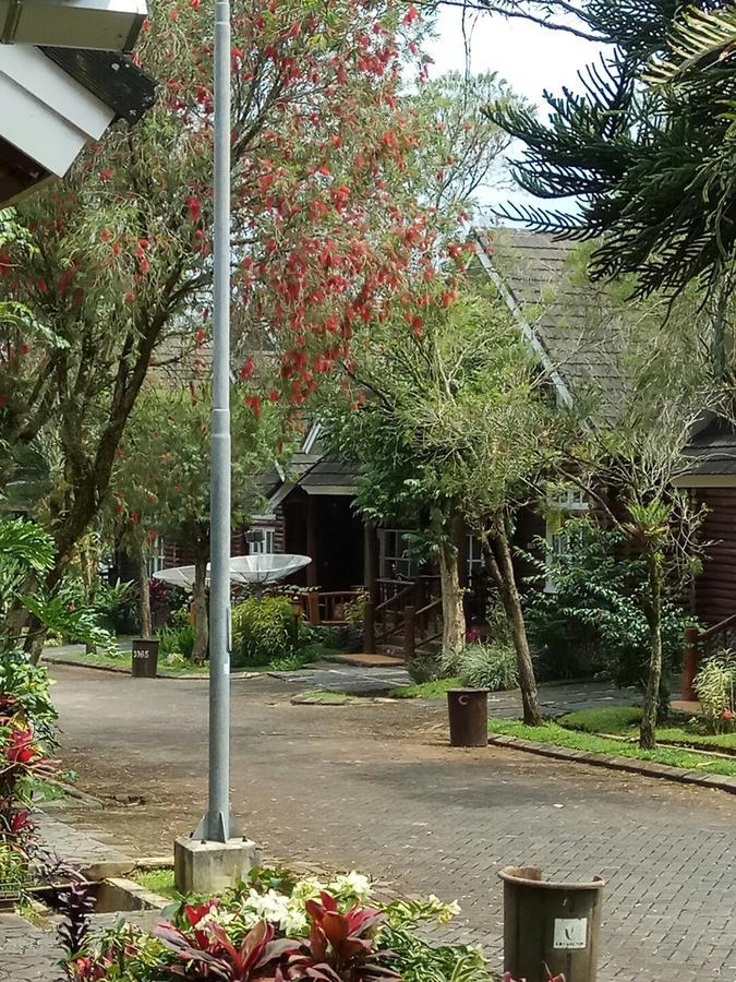 Vila Kota Bunga Private Pool Puncak Exterior foto
